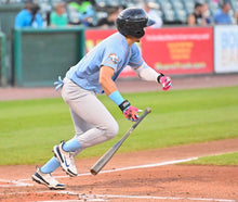 Miami Vice Long Cuff Baseball Batting Gloves